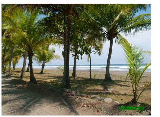 Casas De Alquiler En Guanacaste Cerca Dela Playa ✓ 3367 propiedades - Venta .