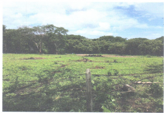 Finca playa hermosa, guanacaste en venta